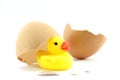 Egg shell and yellow plastic duck Royalty Free Stock Photo