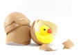 Egg shell and yellow plastic duck Royalty Free Stock Photo