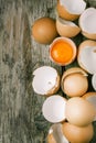 Egg shell and yolk Royalty Free Stock Photo