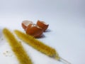 Egg shells and weeds on the white background. Royalty Free Stock Photo