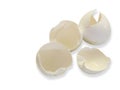 Egg Shells on White