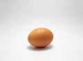 Egg Royalty Free Stock Photo