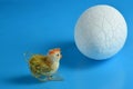 An egg with a small chick. Royalty Free Stock Photo