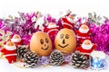 Egg smile Royalty Free Stock Photo