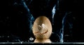 Egg splashing Royalty Free Stock Photo