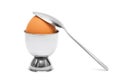 Egg and the spoon Royalty Free Stock Photo