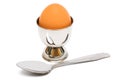 Egg and the spoon Royalty Free Stock Photo