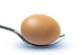 An egg on a spoon on white background Royalty Free Stock Photo