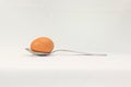 Egg in spoon on white background Royalty Free Stock Photo