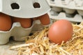 Egg on straw closed up and carton package box Royalty Free Stock Photo