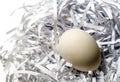 Egg on the straw paper in recycle plastic bag Royalty Free Stock Photo