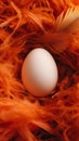 Egg surrounded by orange feathers, close-up view. Natural softness and warmth concept Royalty Free Stock Photo