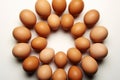 Egg Symmetry Brown chicken eggs forming a perfect circle on white