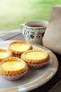 Egg Tart Royalty Free Stock Photo