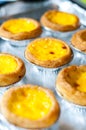 Egg tart Royalty Free Stock Photo