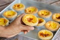 Egg tart or Portugal egg tart sweet custard cream on tray