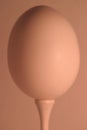 Egg on a Tee Royalty Free Stock Photo