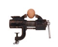 Egg trapped in the old rusty metalwork vice Royalty Free Stock Photo