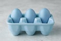 Egg tray with blue painted Easter eggs Royalty Free Stock Photo