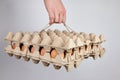 Egg tray with brown chicken eggs on gray background. Person carries a full carton package of eggs Royalty Free Stock Photo