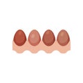 Egg tray with brown fresh chicken eggs vector Illustration