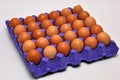 Tray of chicken eggs on a seamless background Royalty Free Stock Photo