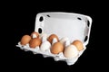 Egg tray with fresh brown eggs isolated on black background. Fresh organic chicken eggs in carton box Royalty Free Stock Photo