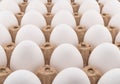 Egg tray with fresh white eggs texture background. Fresh organic chicken eggs in paper box Royalty Free Stock Photo