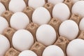 Egg tray with fresh white eggs texture background. Fresh organic chicken eggs in paper box Royalty Free Stock Photo