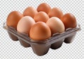 Egg Tray Illustration, Fresh Farm Eggs Royalty Free Stock Photo