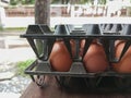 Egg tray on the table