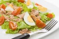 Egg and tuna salad