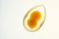 egg with twin yolk Royalty Free Stock Photo