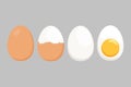 Egg vector isolated on a white background. illustration in flat style Royalty Free Stock Photo