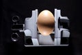 Egg on Vise