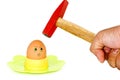 Egg vs Hammer