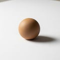 Egg is well lit casting a subtle shadow to the side indicating Royalty Free Stock Photo