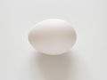 Chicken egg with white shell on light background Royalty Free Stock Photo