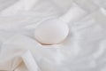 Egg on white background, monochrome concept Royalty Free Stock Photo