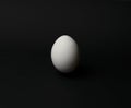 Chicken egg on a black background with a space for text