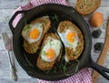 Toasted egg sandwiches Royalty Free Stock Photo