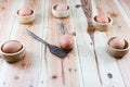 Egg wooden spoons Royalty Free Stock Photo