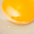 Egg yolk