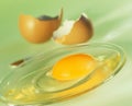 Egg yolk Royalty Free Stock Photo