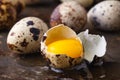 Egg yolk in brocken quail eggs on rustic table Royalty Free Stock Photo