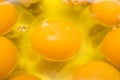 Egg Yolk Close Up Background