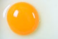 Egg Yolk Close Up