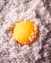 Egg yolk in coarse sea salt marco shot Royalty Free Stock Photo