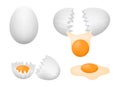 Vegg yolk / 4 type of egg