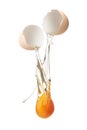 Egg yolk and white dropping out of cracked shell Royalty Free Stock Photo